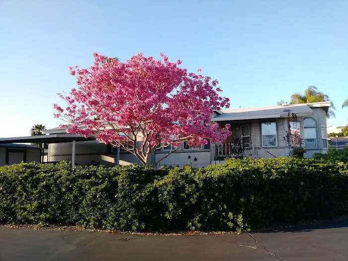 Green Tree Mobile Home Estates Picture 4