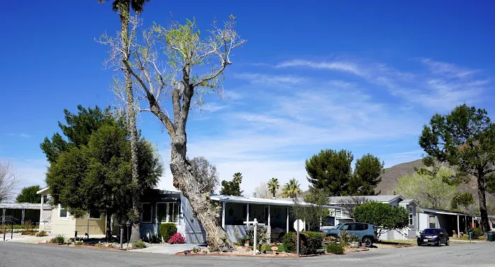 Country Lake Mobile Home Community Picture 10