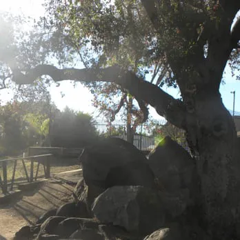 Mountain Shadows Mobile Home Picture 1