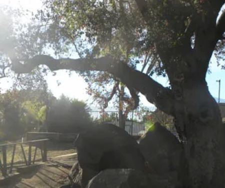 Mountain Shadows Mobile Home