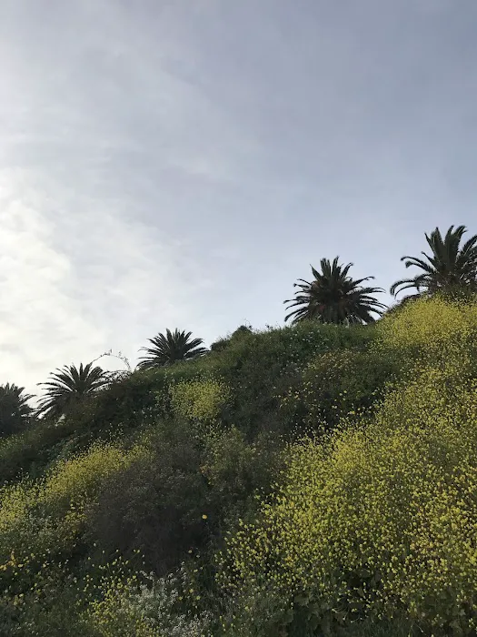 Pacific Palisades Bowl Mobile Estates Picture 4