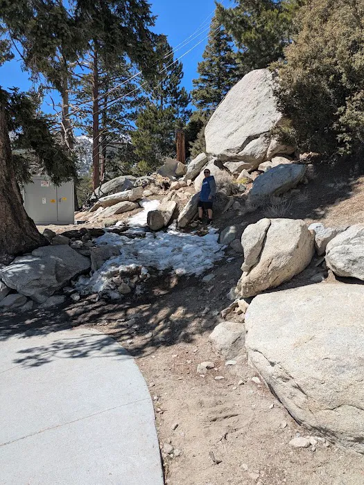 Reseda Mobile Homes Picture 6