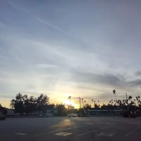 Park Royale ico