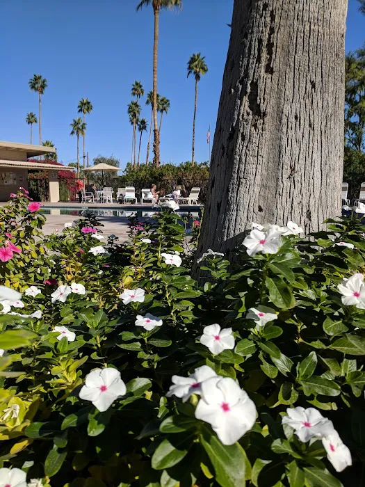 Sahara Mobile Home Park Picture 9