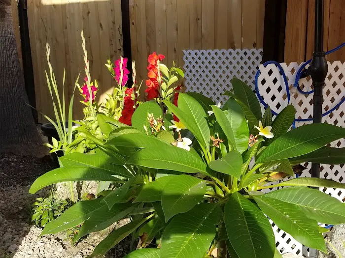 Sahara Mobile Home Park Picture 10