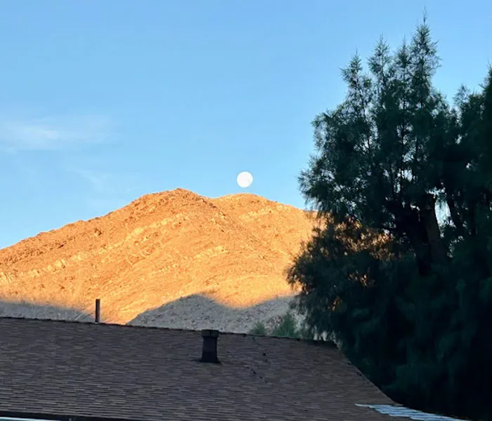 Palm Springs Mobile Home and RV Community Picture 6