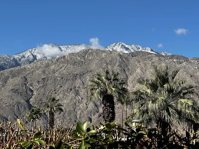 Ramon Mobile Home & RV Park Picture 7