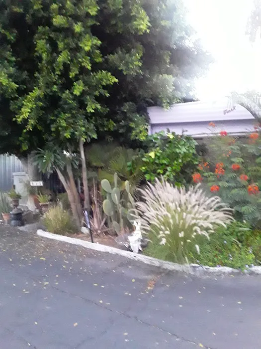 Ramon Mobile Home & RV Park Picture 4