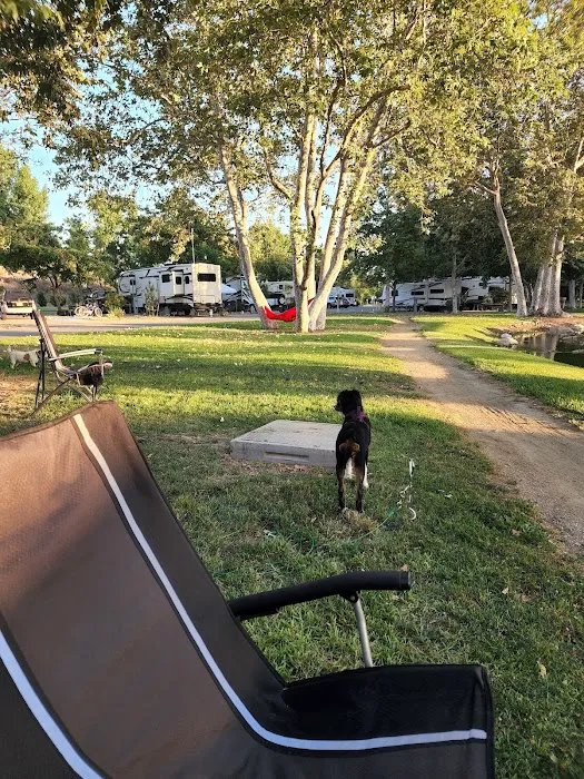Santee Lake rv Resort Picture 9
