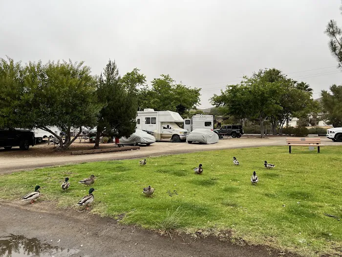 Santee Lake rv Resort Picture 2