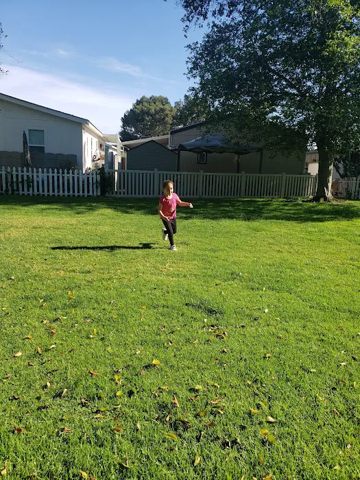 Linda Vista Village Picture 6