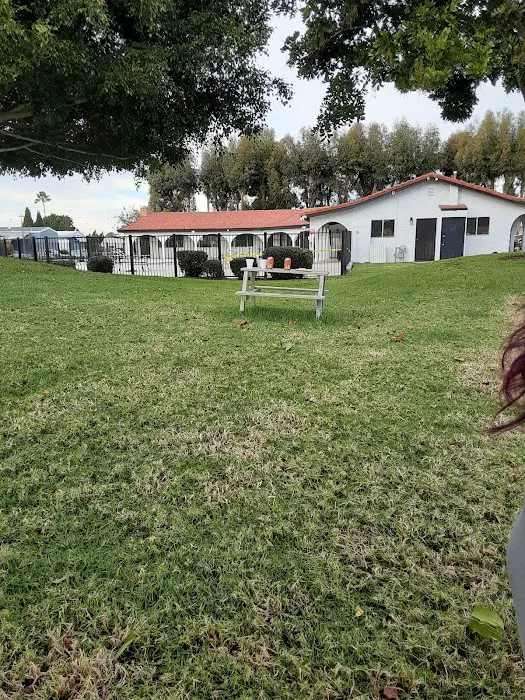 Linda Vista Village Picture 10