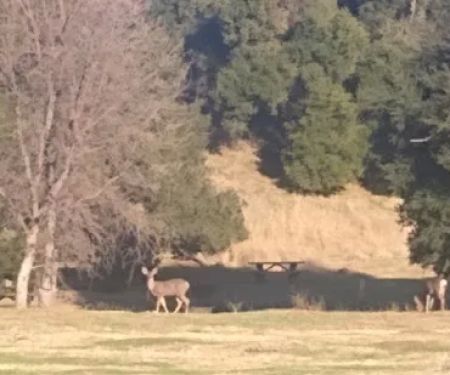 Blu Dude Mobile Home Park