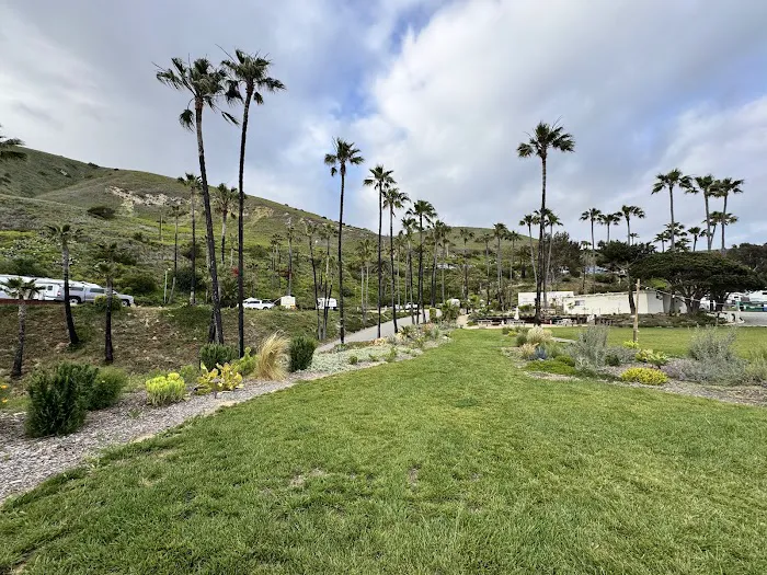 Surf Outpost - Malibu Campground Picture 7