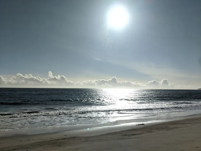 Malibu Beach RV Park Picture 2