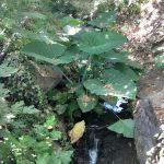 Oakdale Mobile Home Park