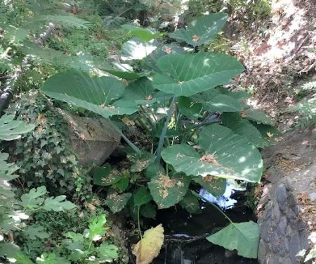 Oakdale Mobile Home Park