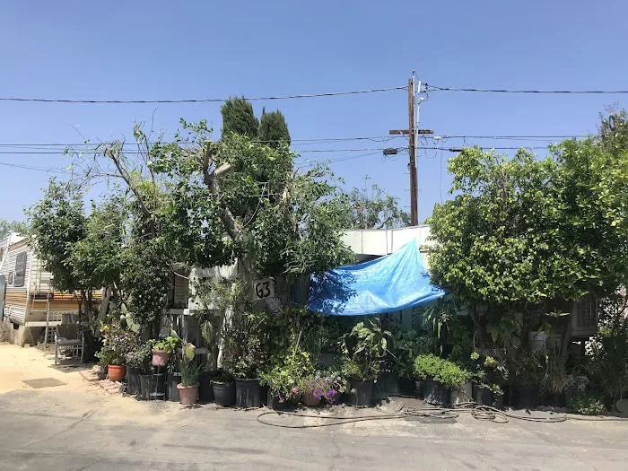 Orange Grove Mobile Home Park Picture 7