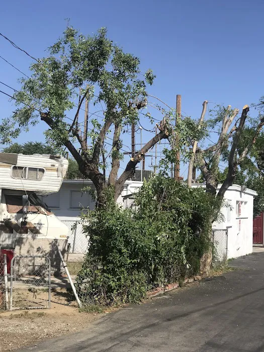 Orange Grove Mobile Home Park Picture 9