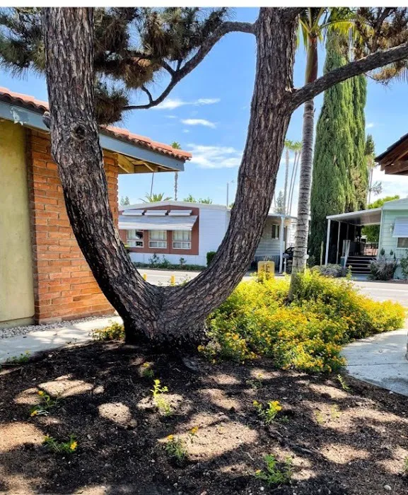 Riviera Mobile Estates Picture 4