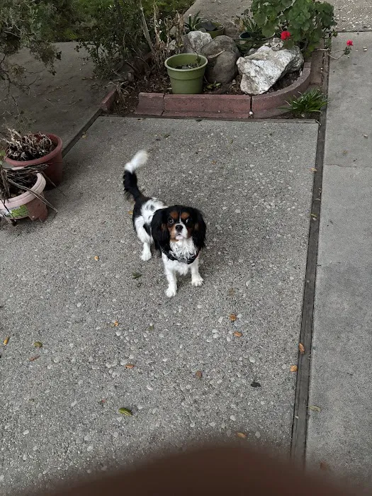 Sunburst Mobile Home Estates Picture 9