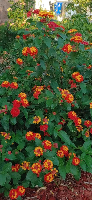 Sunburst Mobile Home Estates Picture 10