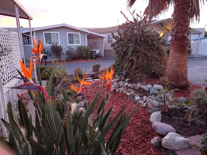 Sunburst Mobile Home Estates Picture 6