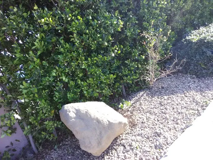 Valle Verde Mobile Home Park Picture 6