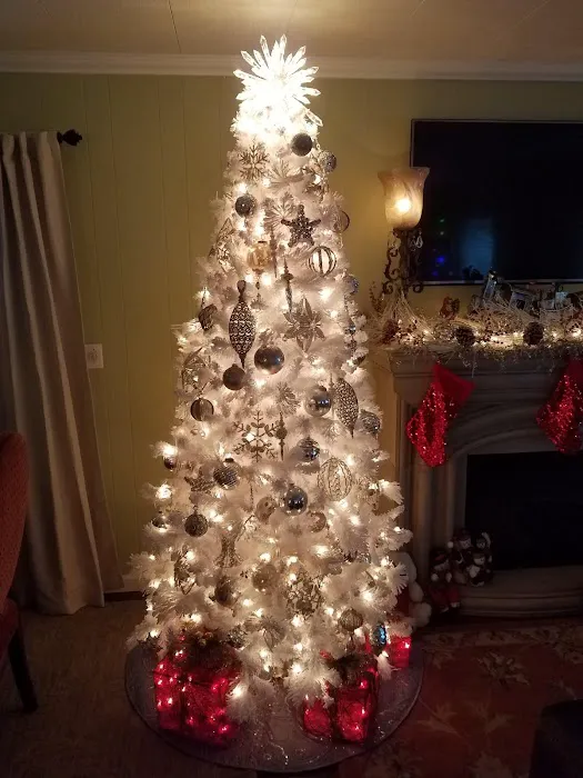 Horizon Mobile Village & RV Park-Palm Springs Picture 2