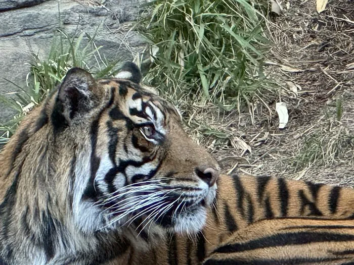 Safari Park Picture 6