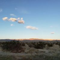Palm Springs View Estates ico