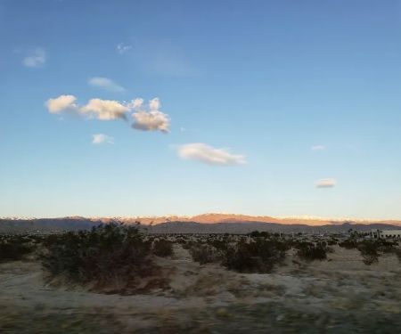 Palm Springs View Estates