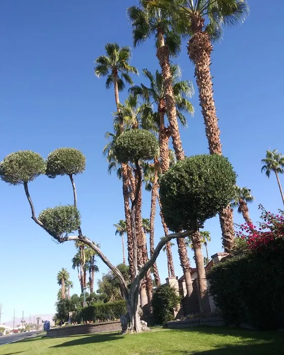 Canyon Mobile Home Community Picture 9