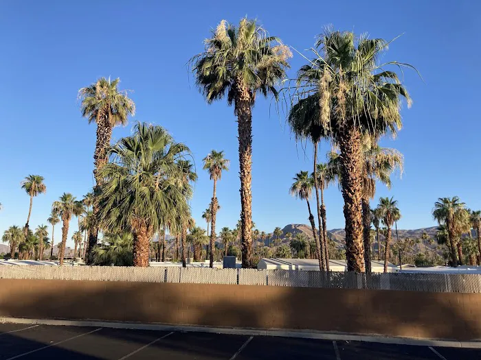 Royal Palms Picture 9
