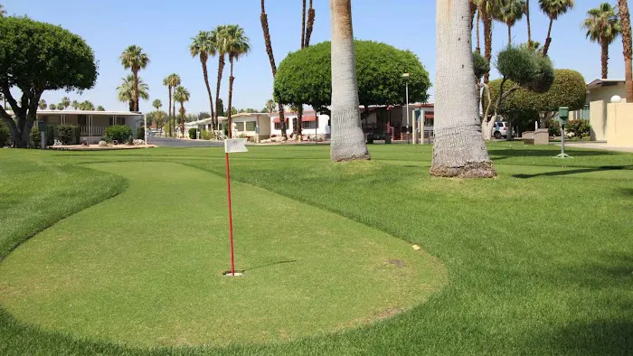 Royal Palms Picture 10