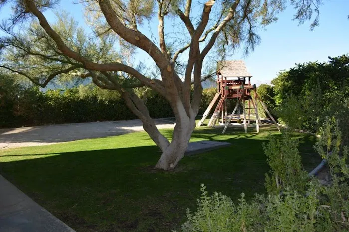 Palm View Estates Picture 8