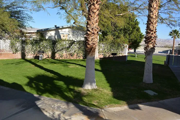 Palm View Estates Picture 7