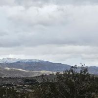 Palm Drive RV & Mobile Home Park ico