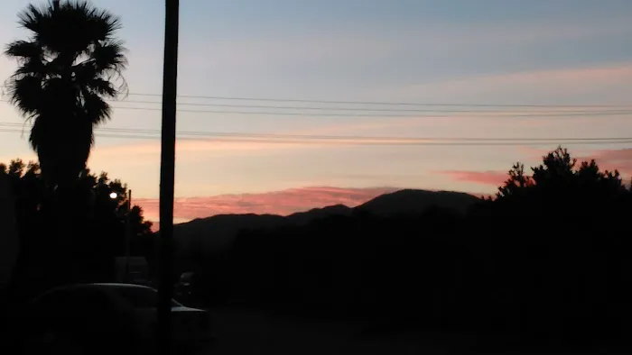 Palm Drive RV & Mobile Home Park Picture 4