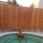 Desert Valley Estates Mobile Home & RV