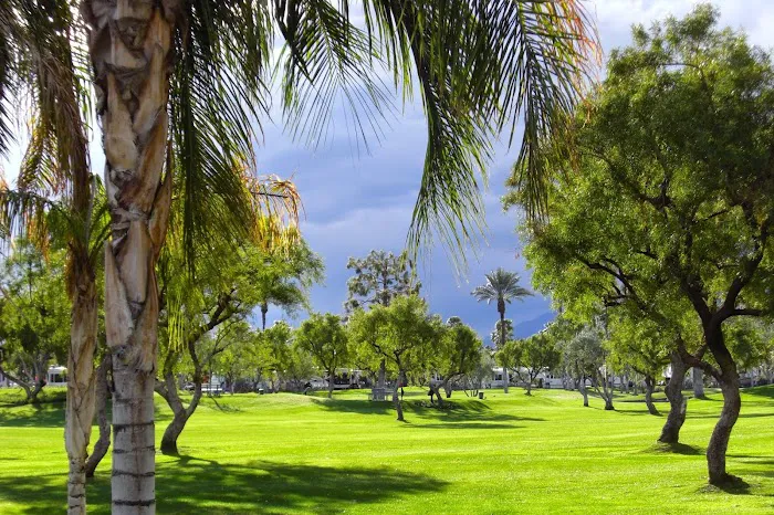 Outdoor Resort Palm Springs Picture 9