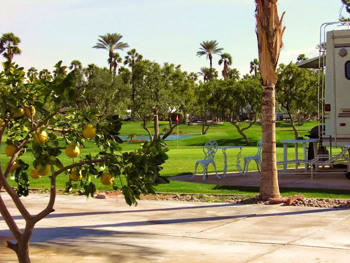 Outdoor Resort Palm Springs Picture 6
