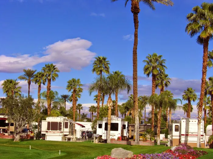 Outdoor Resort Palm Springs Picture 5