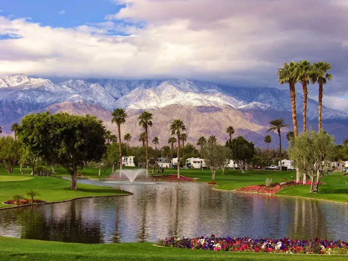 Outdoor Resort Palm Springs Picture 2