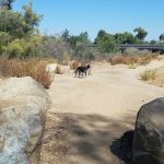 New Frontier Communities