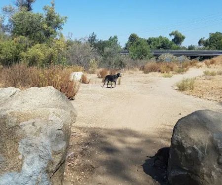 New Frontier Communities