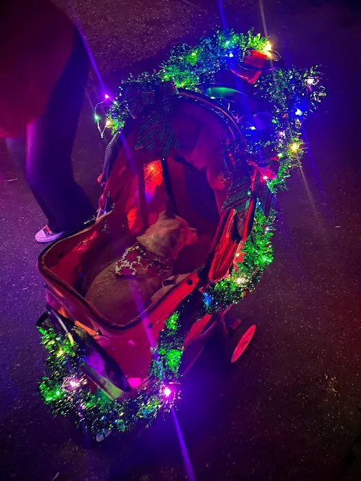 San Diego RV Resort Picture 7