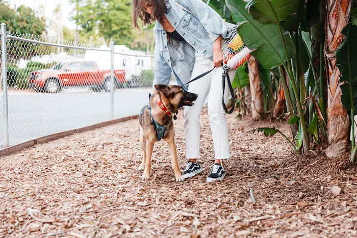 San Diego RV Resort Picture 5