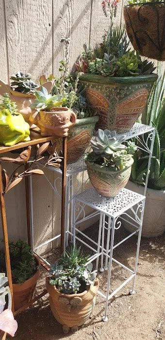 Happy Hollow Trailer Park Picture 8