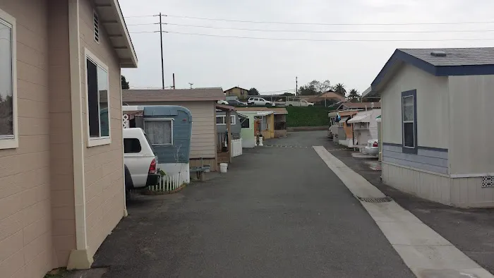 Happy Hollow Trailer Park Picture 3